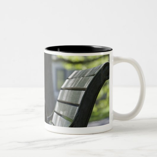 Tasse 2 Couleurs Boston Terrier (Droit)