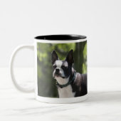 Tasse 2 Couleurs Boston Terrier (Gauche)