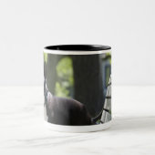Tasse 2 Couleurs Boston Terrier (Centre)