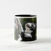 Tasse 2 Couleurs Boston Terrier 2 (Centre)