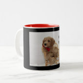 Tasse 2 Couleurs Bouchon de café Goldendoodle (Devant gauche)