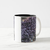 Tasse 2 Couleurs Boue des arroseurs (Devant droit)