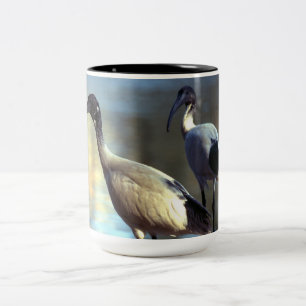 Tasse 2 Couleurs Boue d'oiseaux