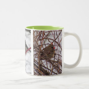 Tasse 2 Couleurs Boug d'oiseaux d'hiver
