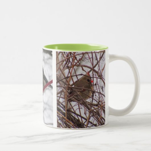 Tasse 2 Couleurs Boug d'oiseaux d'hiver (Droit)