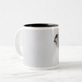 Tasse 2 Couleurs Bouledogue anglais blanc (Devant gauche)