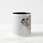 Tasse 2 Couleurs Bouledogue anglais blanc (Centre)