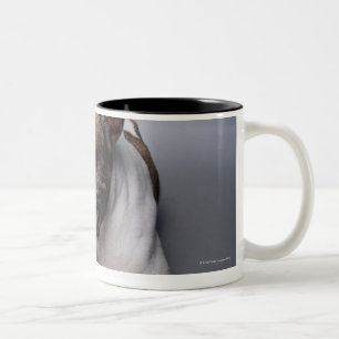 Tasse 2 Couleurs Bouledogue français