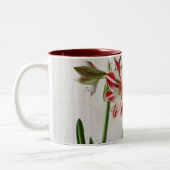 Tasse 2 Couleurs Bouteille de fleurs d'amaryllis rouge avec texte p (Gauche)