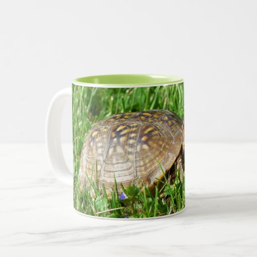 Tasse 2 Couleurs Box Turtle (Devant gauche)