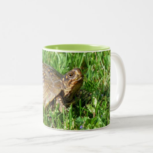 Tasse 2 Couleurs Box Turtle (Devant droit)