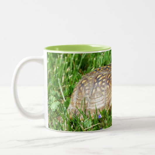 Tasse 2 Couleurs Box Turtle (Gauche)
