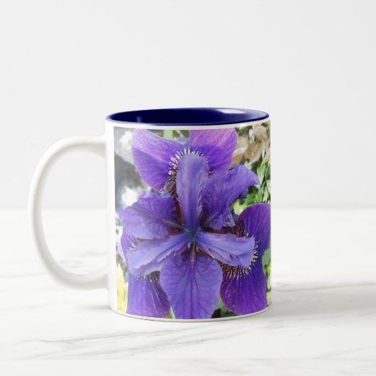 Tasse 2 Couleurs Brandeis (Gauche)