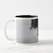 Tasse 2 Couleurs Brûlures d'huile concentrée rassemblées (Gauche)