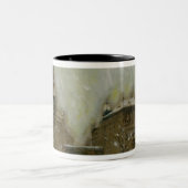 Tasse 2 Couleurs Budapest dans la neige (Centre)