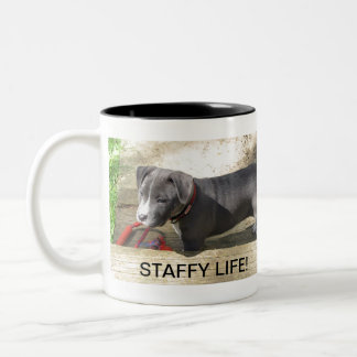 Tasse 2 Couleurs Bull-terrier du Staffordshire