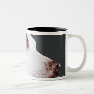 Tasse 2 Couleurs Bull-terrier du Staffordshire, plan rapproché