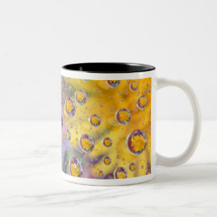 Tasse 2 Couleurs Bulles abstraites avec des fleurs. Crédit : Nancy
