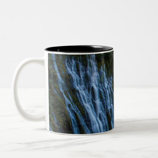 Tasse 2 Couleurs Burney Falls (Gauche)