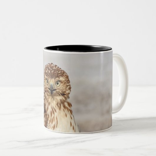 Tasse 2 Couleurs Buse à queue rouge immature au sol (Devant droit)