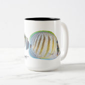 Tasse 2 Couleurs Butterflyfish multibandes, multicinctus de (Devant droit)