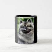 Tasse 2 Couleurs Cadeaux d'art Keeshond (Centre)