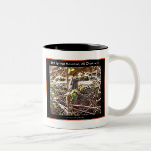 Tasse 2 Couleurs Cadeaux de Tamia de la Montagne de Hot Springs, Ar