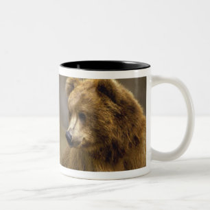 Tasse 2 Couleurs Cadeaux d'ours Brown