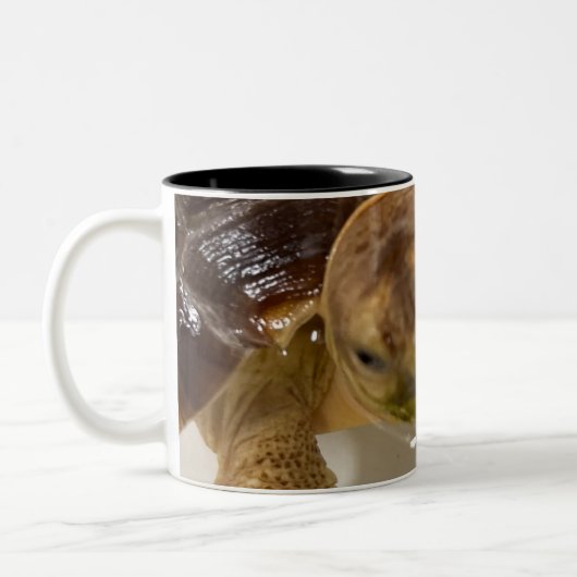 Tasse 2 Couleurs Café (Gauche)