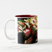 TASSE 2 COULEURS CALADIUM (Gauche)