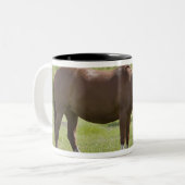 Tasse 2 Couleurs Calgary, Alberta, Canada 2 (Devant gauche)