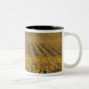 Tasse 2 Couleurs Californie, comté de San Luis Obispo, vallée d'Edn