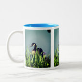 Tasse 2 Couleurs Canada Goose Irises 1 Nature Art (Gauche)