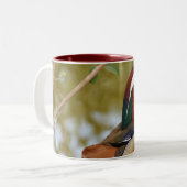 Tasse 2 Couleurs Canard mandarin (Devant gauche)