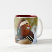 Tasse 2 Couleurs Canard mandarin (Devant droit)