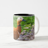 Tasse 2 Couleurs Canard roux (Devant droit)