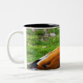 Tasse 2 Couleurs Canard roux (Gauche)