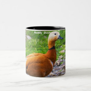 Tasse 2 Couleurs Canard roux