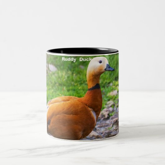 Tasse 2 Couleurs Canard roux (Centre)