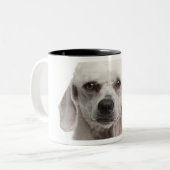 Tasse 2 Couleurs Caniche (de 1 an) (Devant gauche)