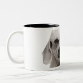Tasse 2 Couleurs Caniche (de 1 an) (Gauche)