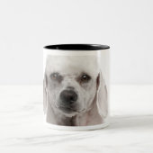 Tasse 2 Couleurs Caniche (de 1 an) (Centre)
