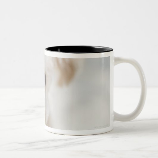 Tasse 2 Couleurs caniche de jouet (Droit)