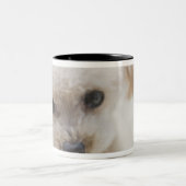 Tasse 2 Couleurs caniche de jouet (Centre)
