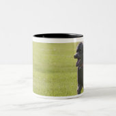 Tasse 2 Couleurs Caniche jouant le frisbee (Centre)