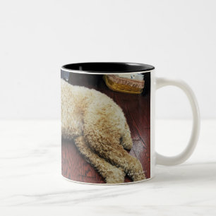 Tasse 2 Couleurs Caniche standard dormant sur le plancher