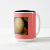 Tasse 2 Couleurs Cantaloupe (Devant droit)