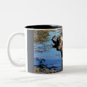 Tasse 2 Couleurs Cape Buffalo par Rowood © © (Gauche)