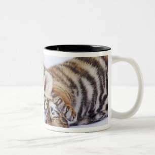 Tasse 2 Couleurs Captif, Afrique du Sud 4