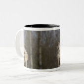 Tasse 2 Couleurs Captif, Duluth, Minnesota, Etats-Unis 2 (Devant gauche)